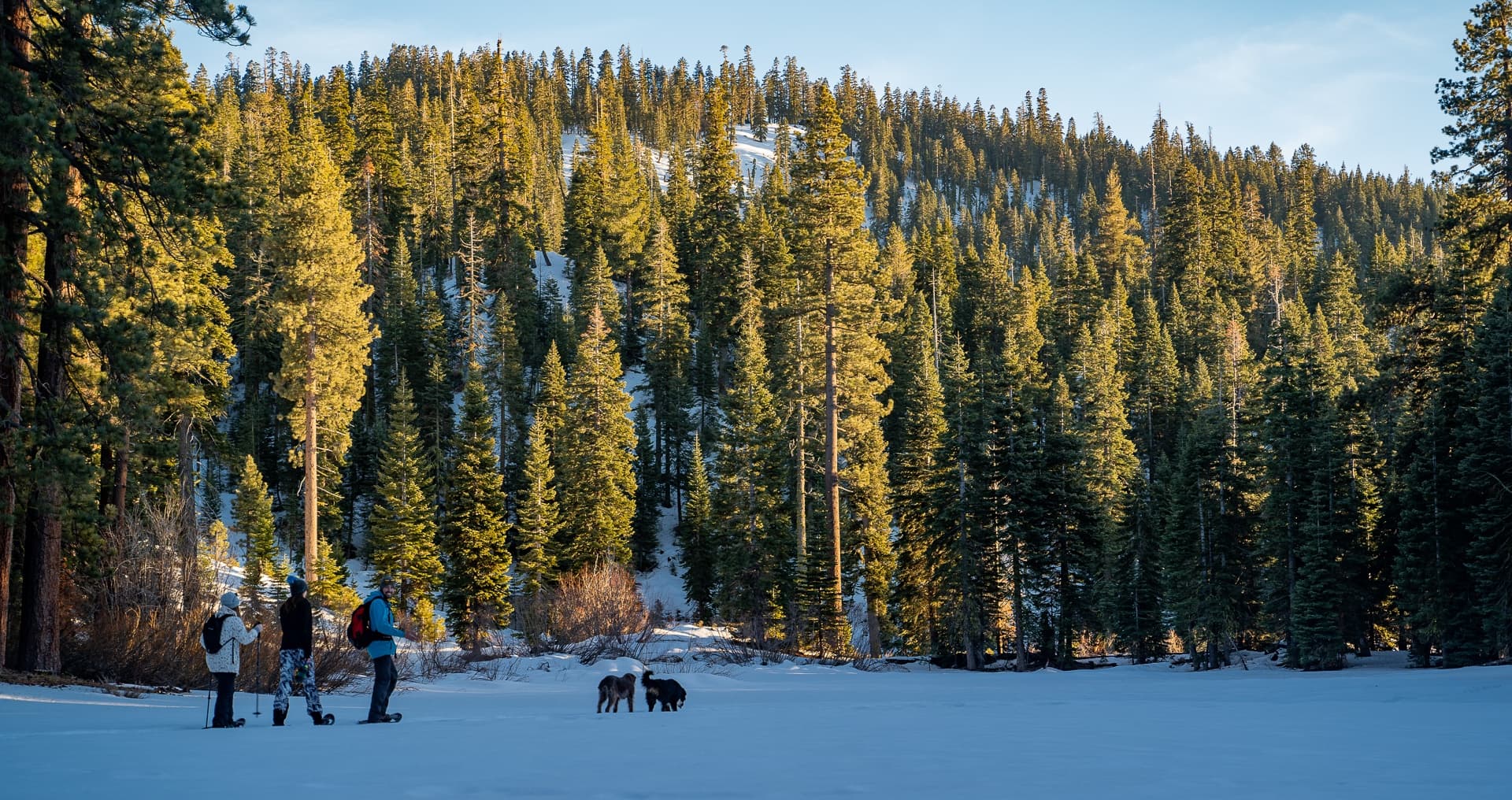 Beginner Sunset Snowshoe Tour