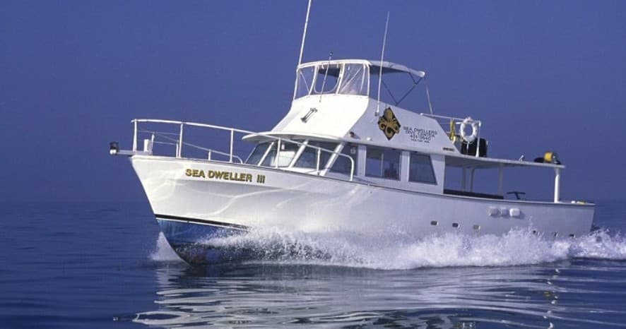 Dive & Snorkel Trips