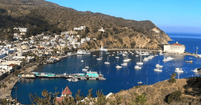 Shuttle: Emerald Bay to Avalon (One Way)