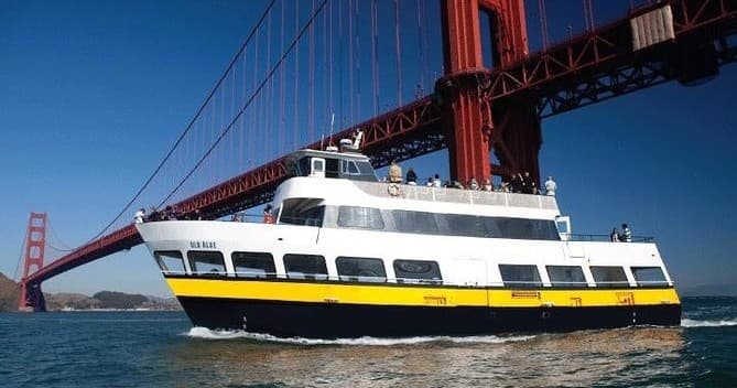 Blue and Gold Bay Cruise, The Flyer & 7D Experience Combo