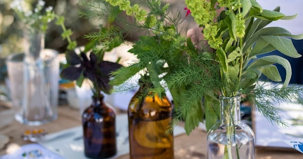 Herbarium – Full Illustration Workshop