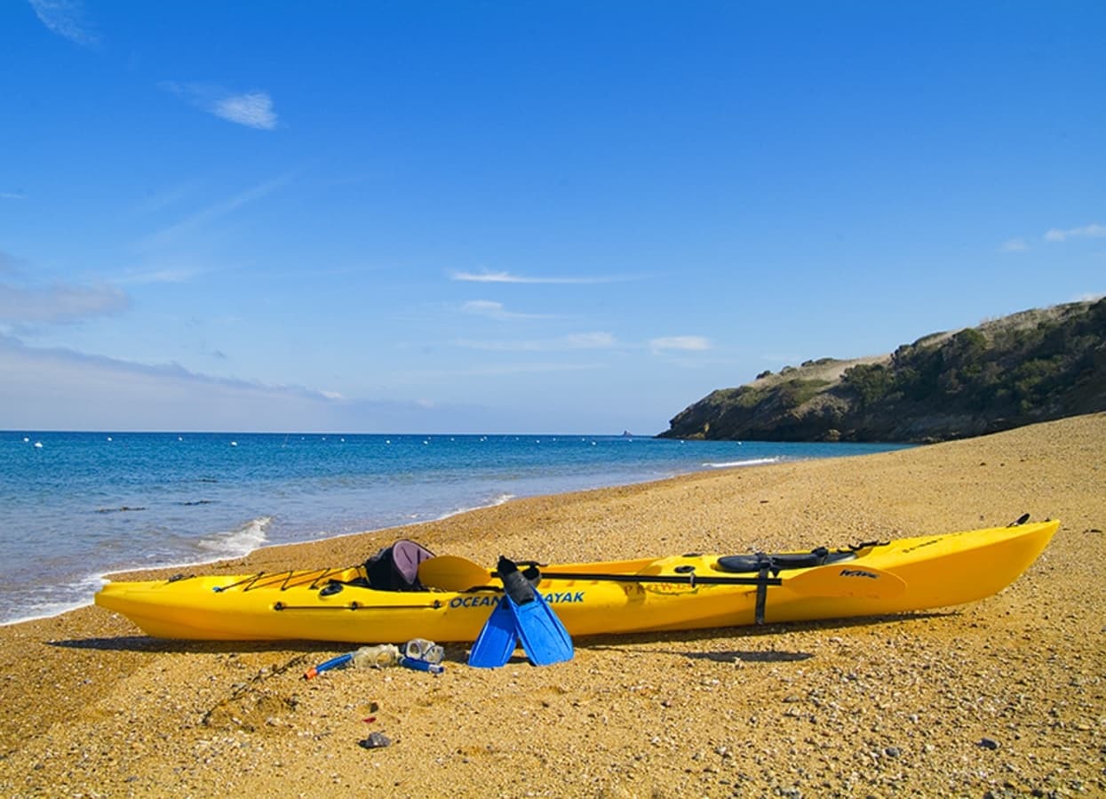 Early Bird Kayak & Snorkel