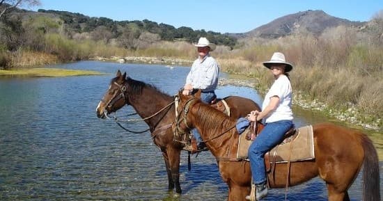 Private Canyon Horseback Riding Tour