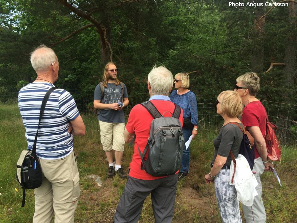 Swedish art and design tour - 3 museums and more