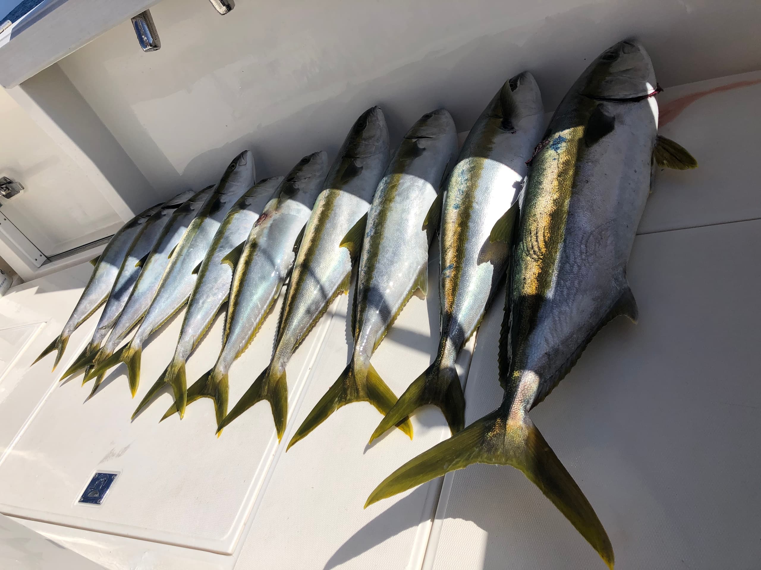 San Clemente Island Fishing