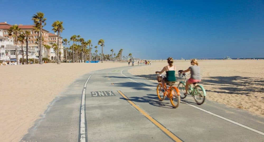 Daily Rental • Beach Cruisers