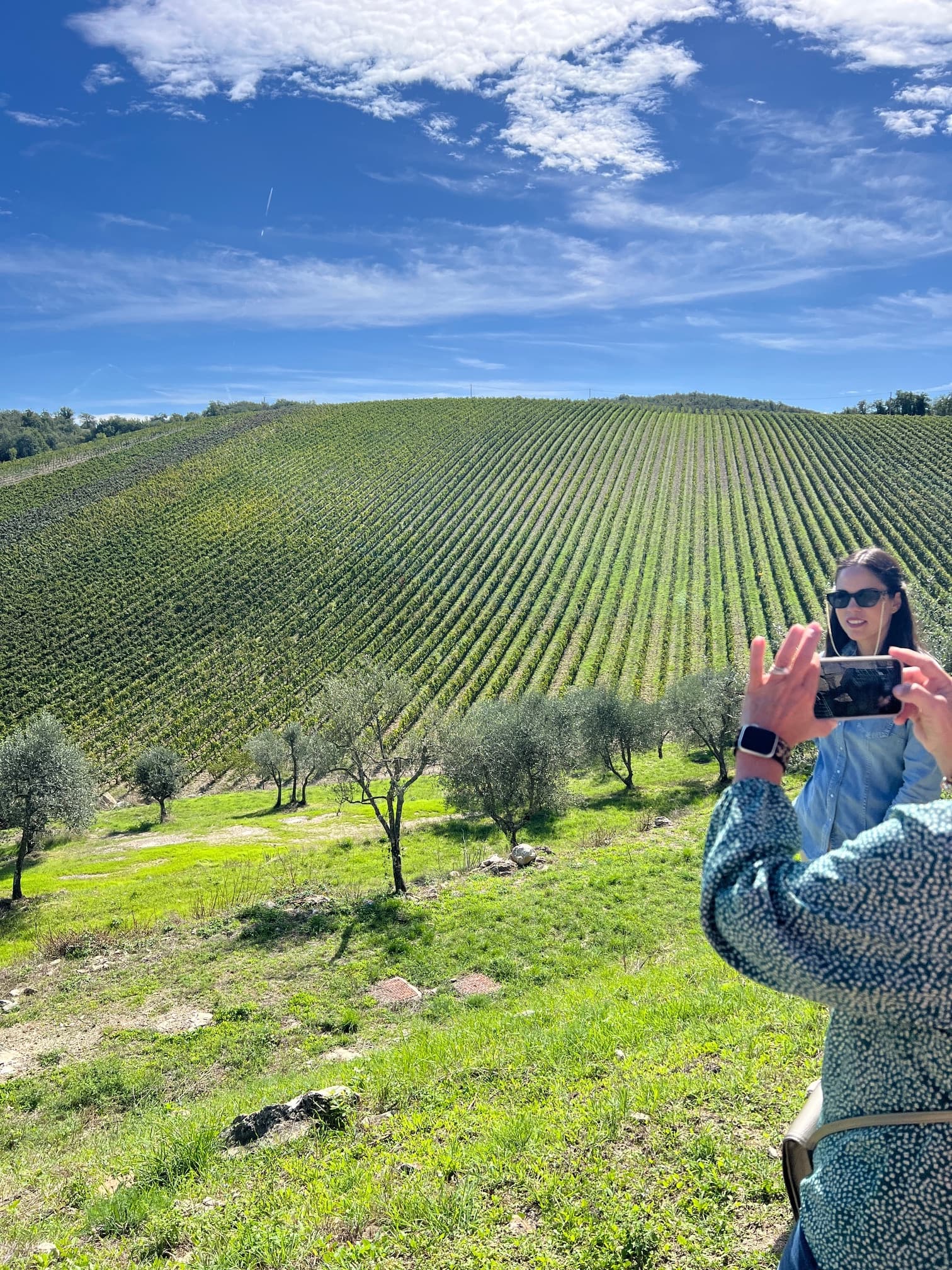 Your Organic wine tour