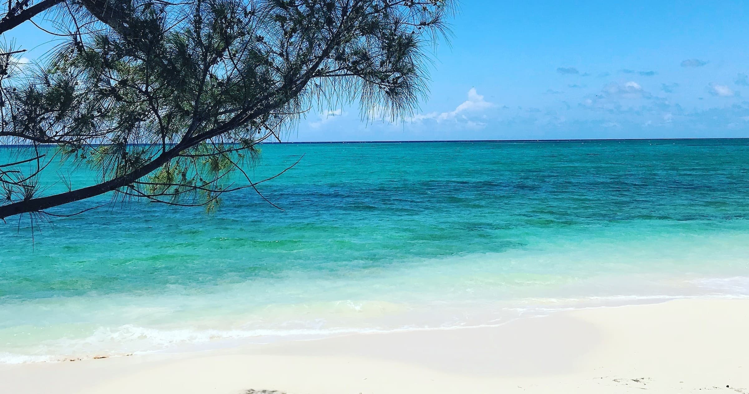 Bimini Trip