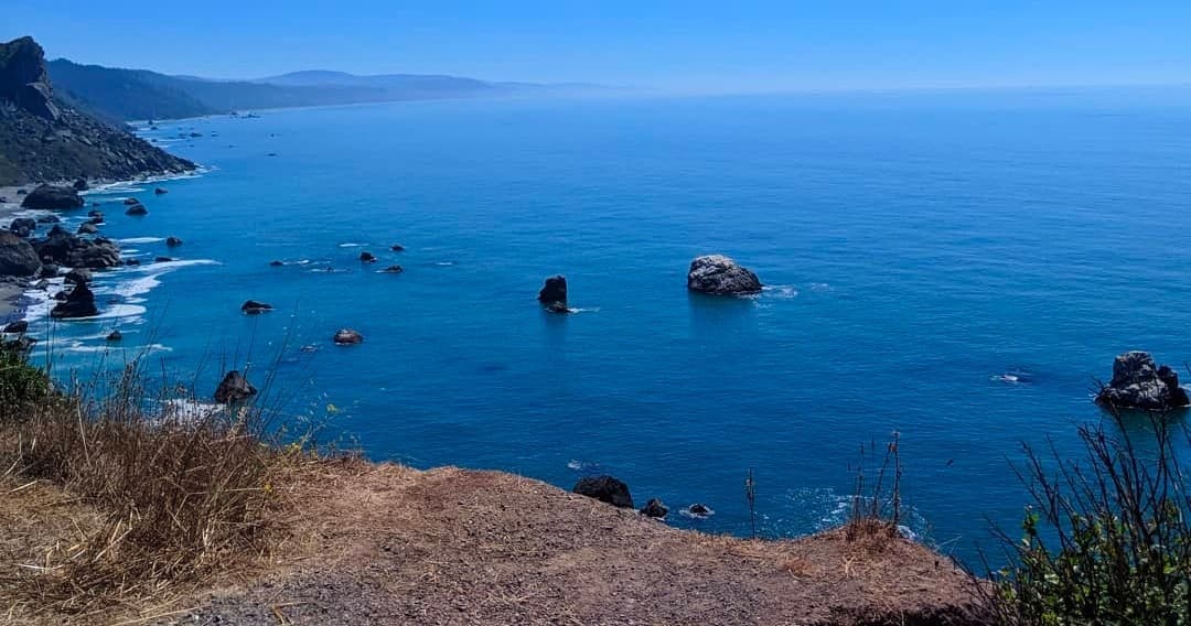Half Day Coastal Trail Tour