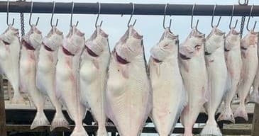 Full Day Fishing Charter