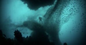 Deep Dive Specialty