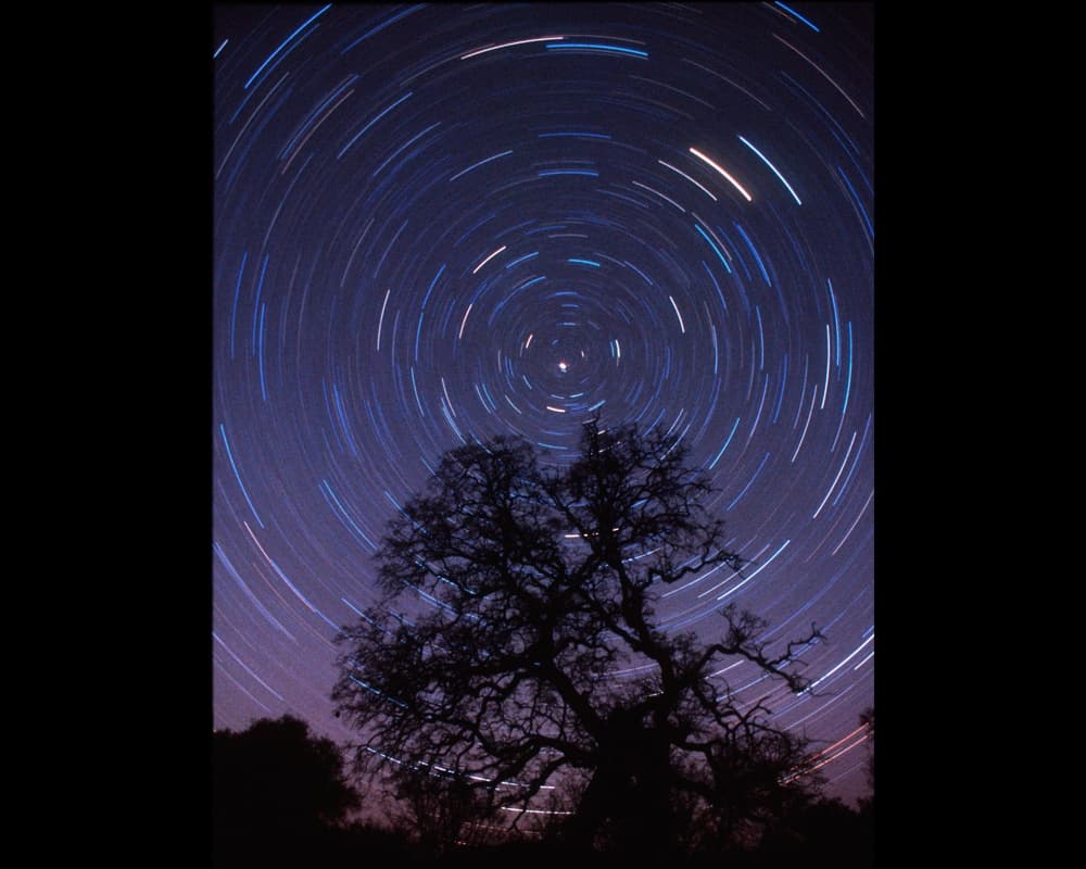 Sierra Stargazing