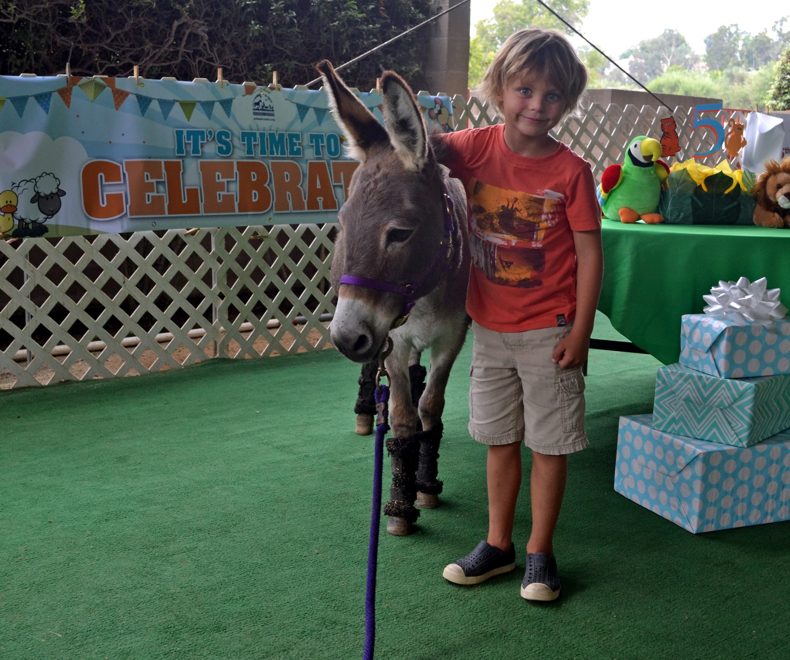 Ultimate Birthday Party