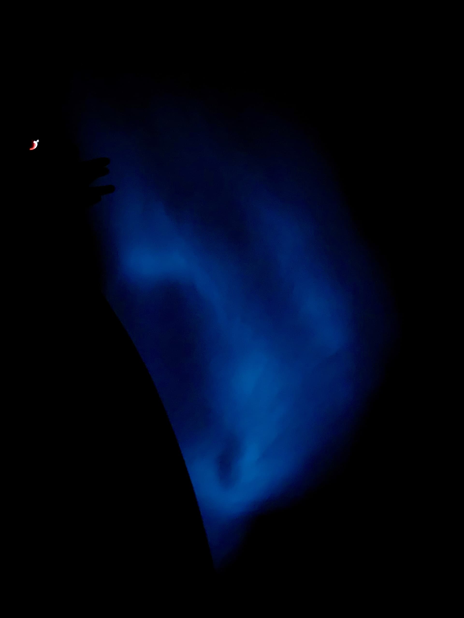Bioluminescent Bay Kayak, Swim, and Boat Tour