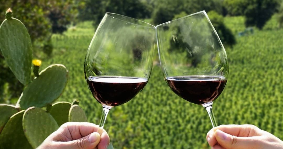 Exclusive Douro Premium Tour