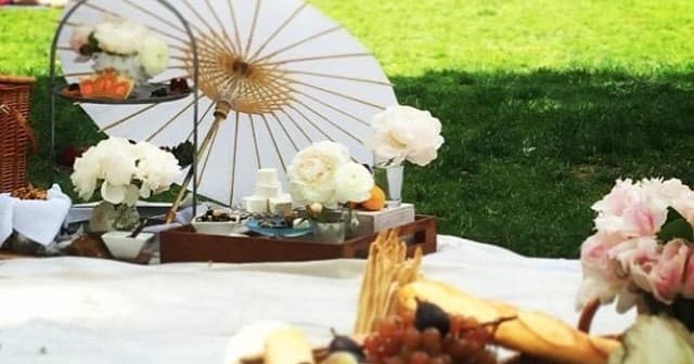 Perfect Picnic