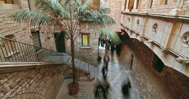 Museo Picasso. Entrada y visita guiada.
