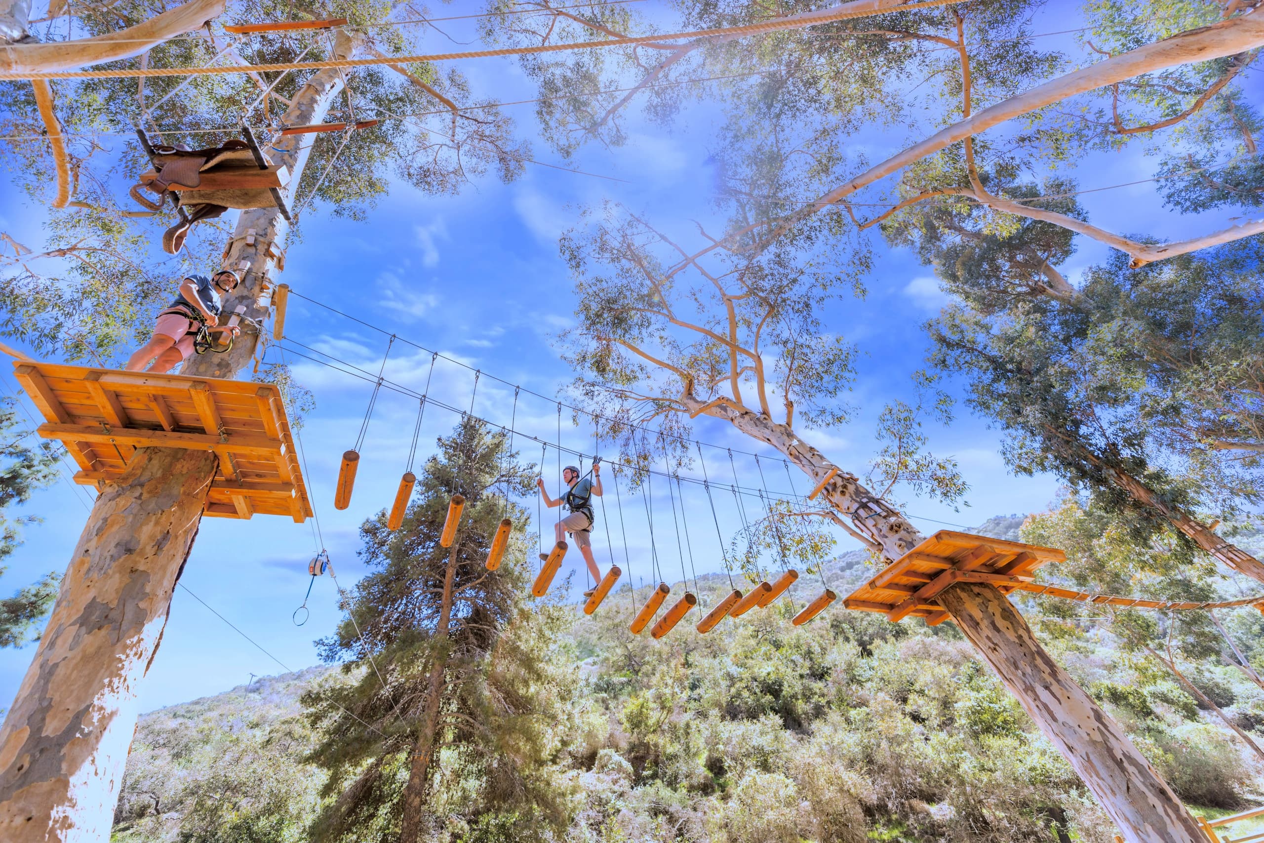 Aerial Adventure