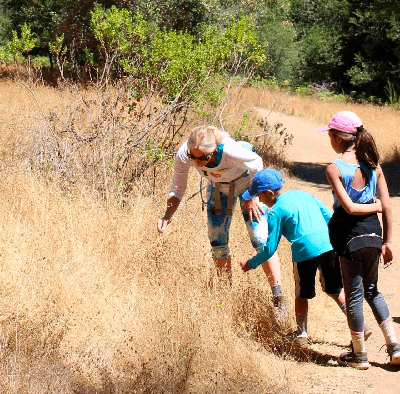 Forest Treasures Hunt & Hiking Excursion
