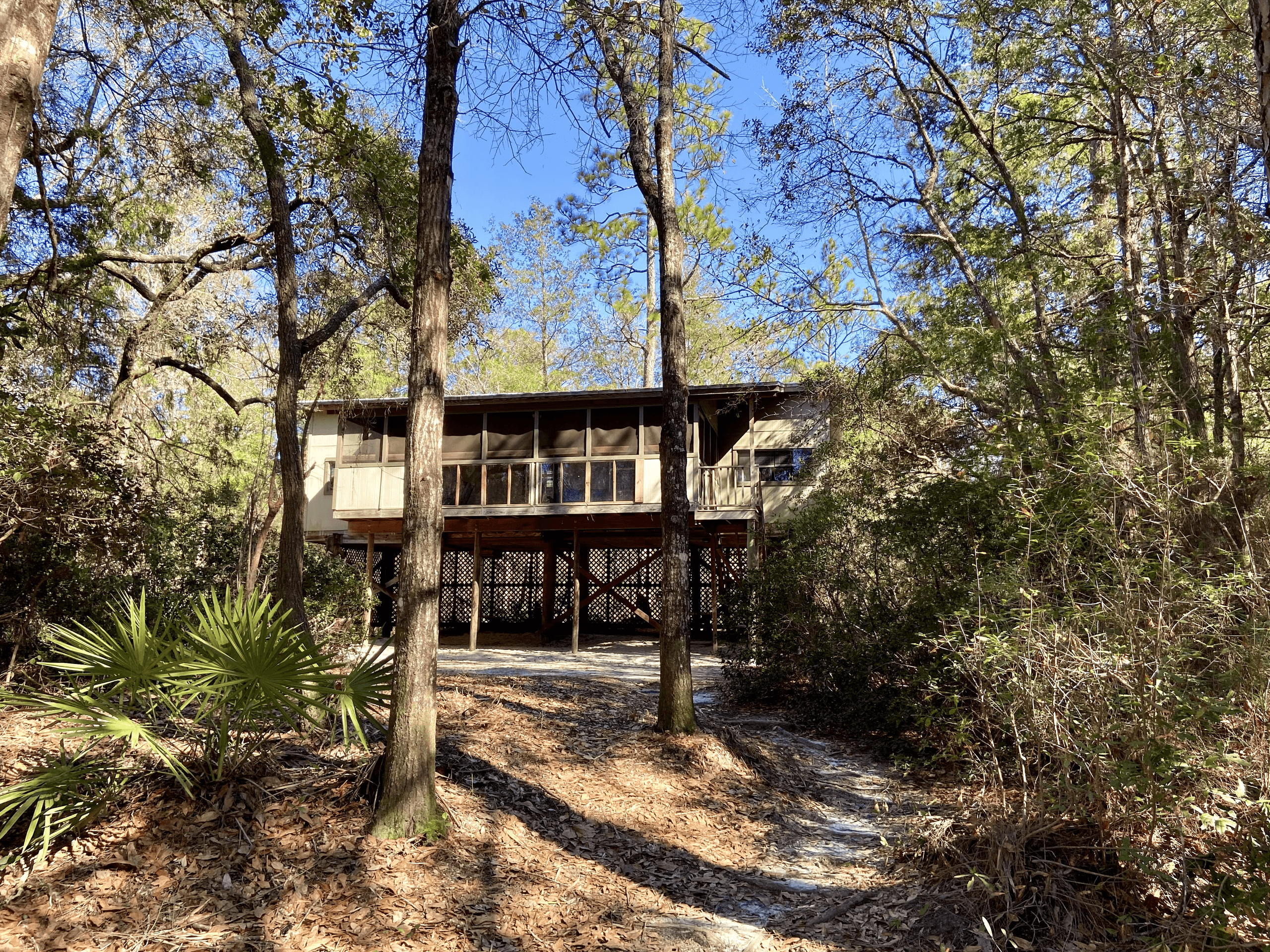 Blueberry Cabin
