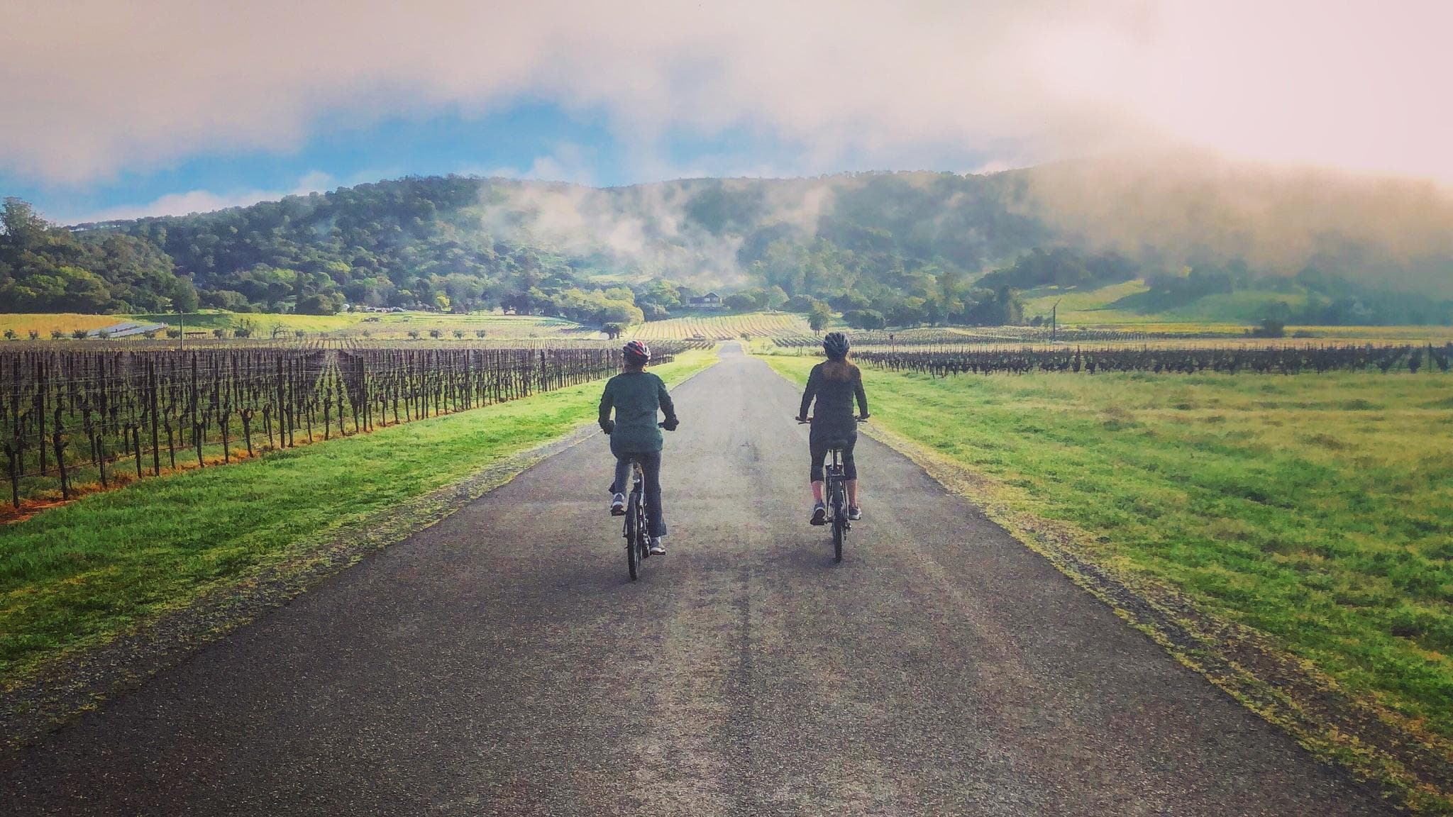 Carneros Bike Tour