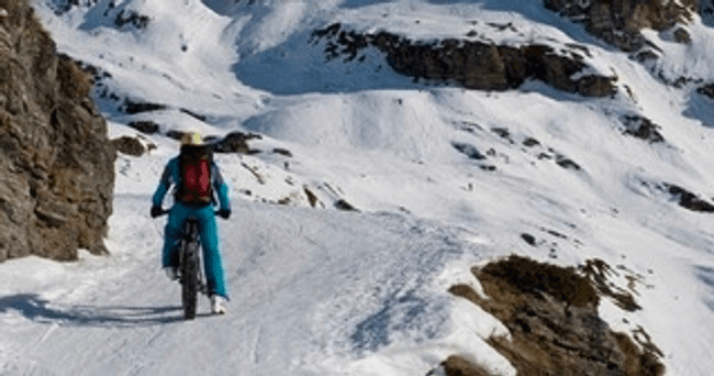 Fat Tire Mountain Bike - 2 Day Rental