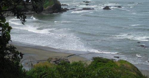 Half Day Tide Pool Adventure Tour