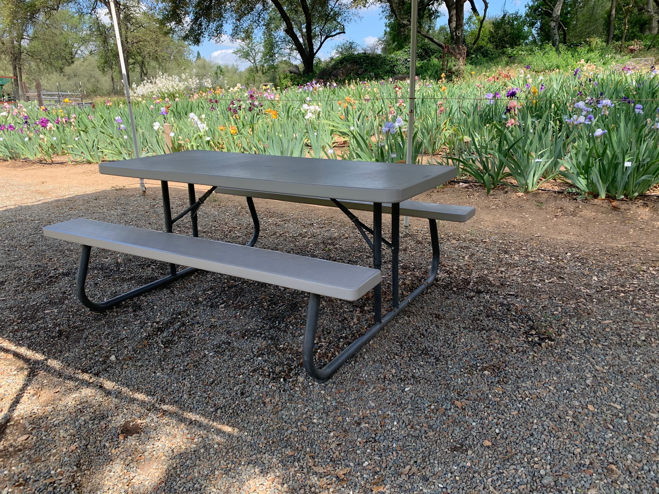 Bloom Season Picnic Table Rental (Excluding Mother's Day Weekend)