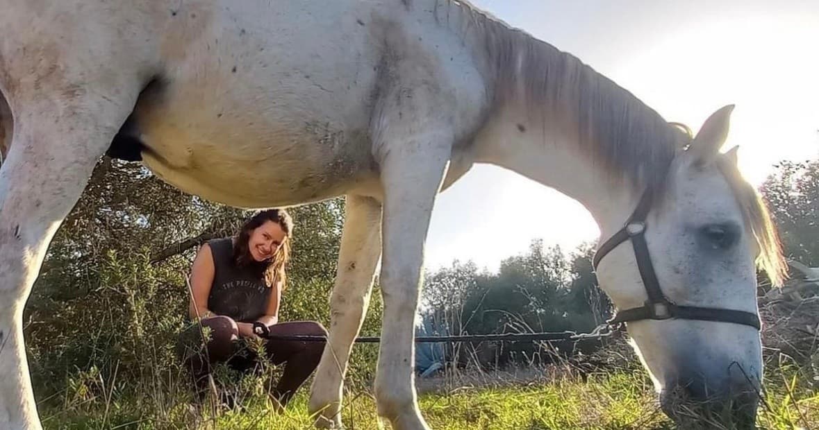 Horse Walk with Rescued Horses