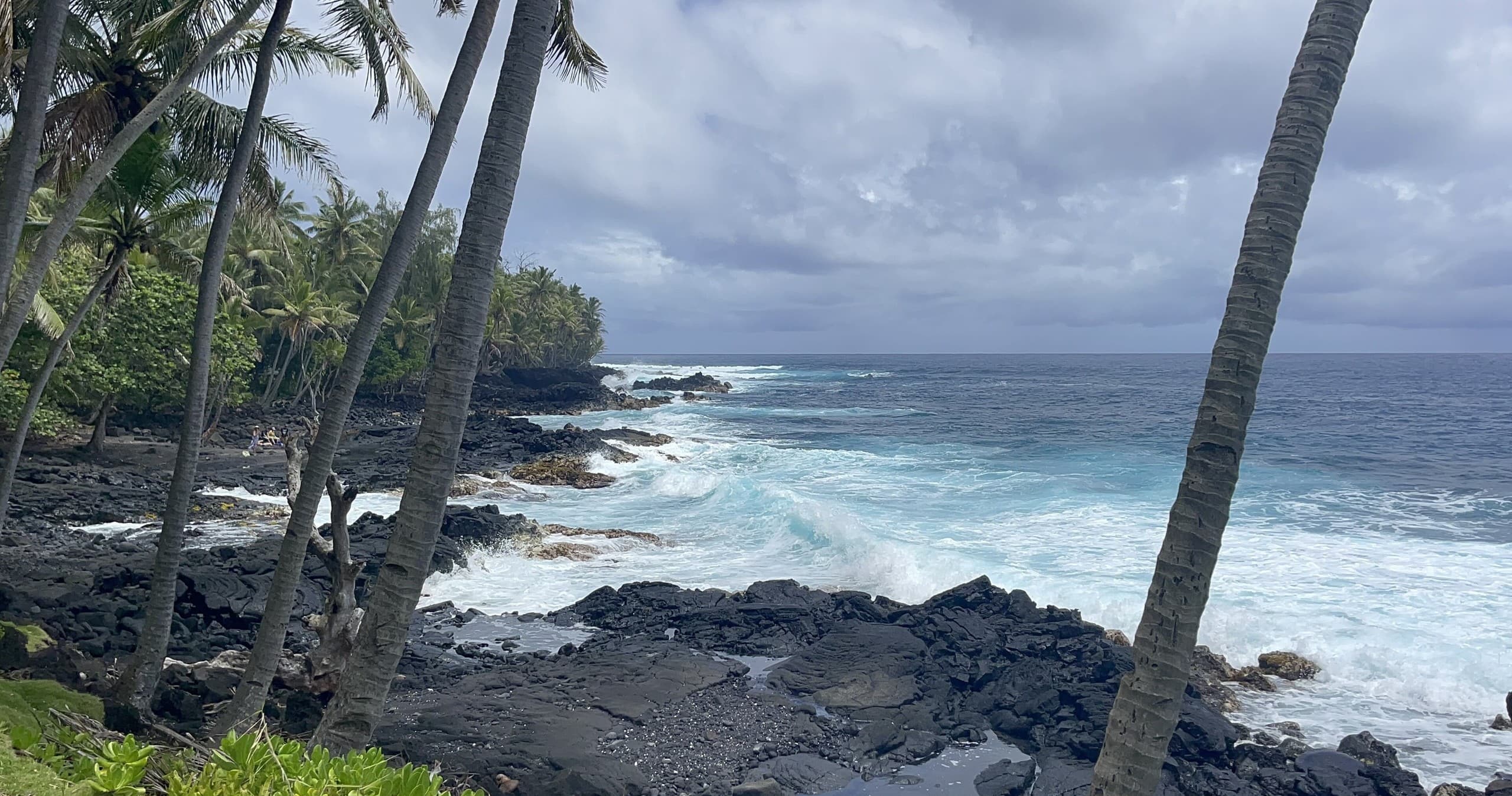 Hawaiian Beach Cliffs Scenic Fat Tire E-Bike Tour