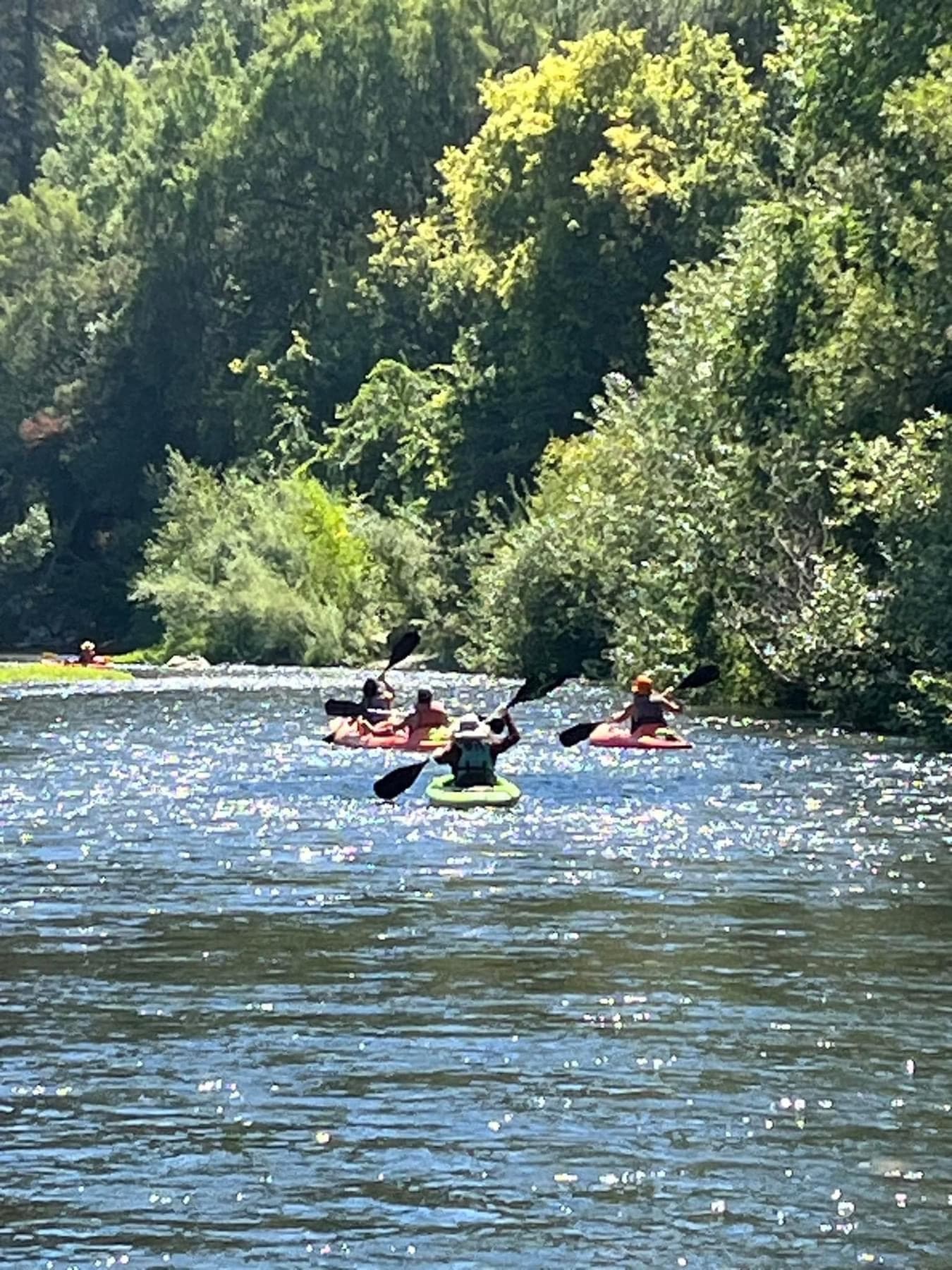The Rio Trip - A Peaceful Morning Paddle!