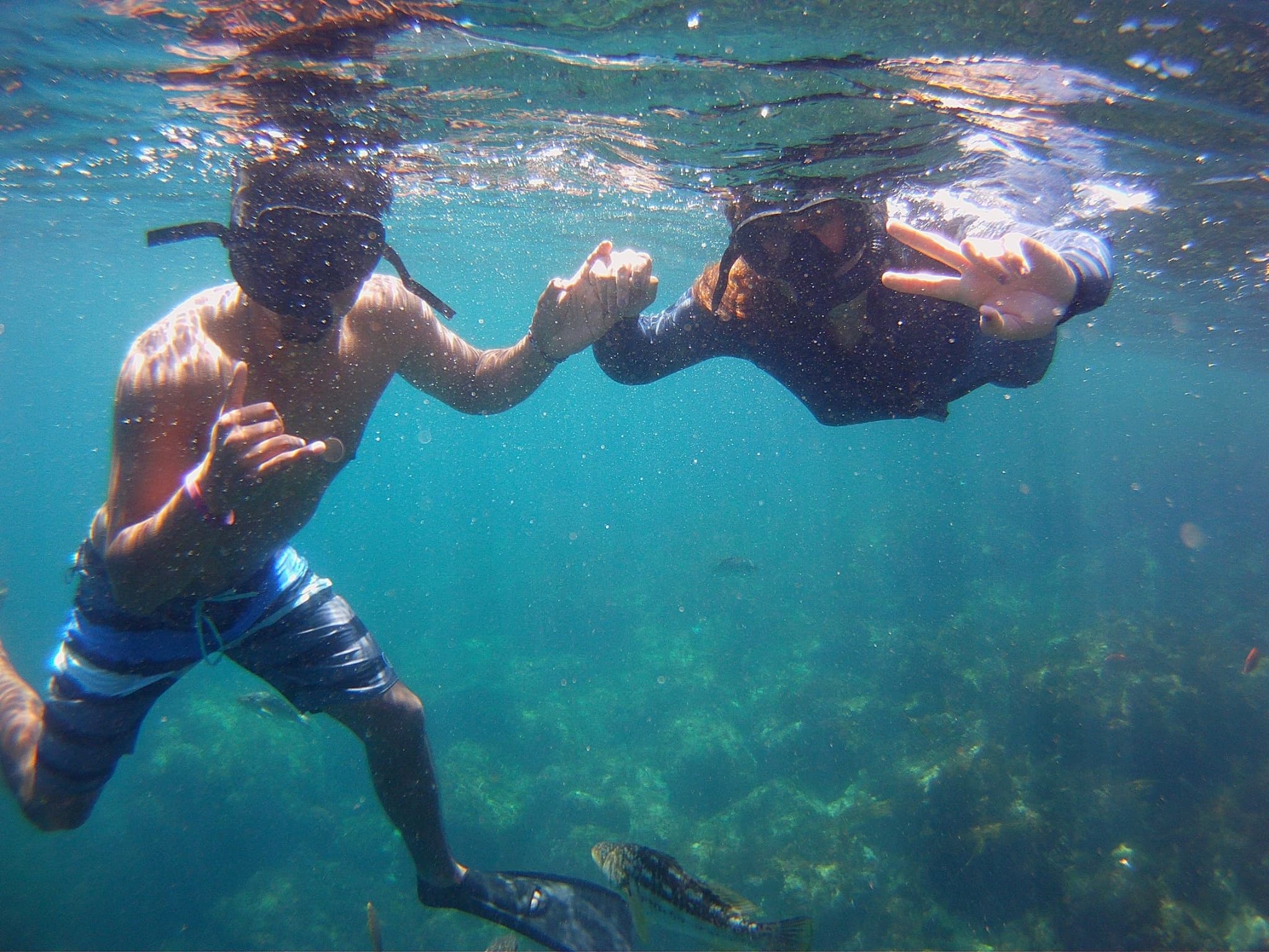 Mask, Snorkel, & Fins Rentals