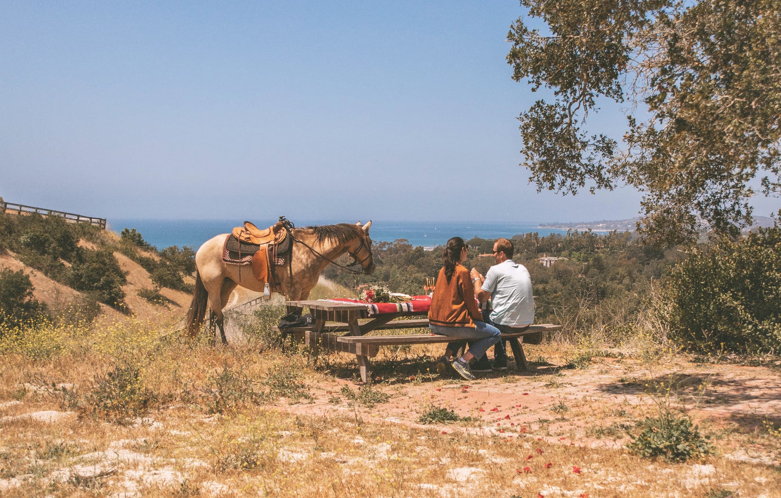 2 ½ Hour Private Trail Picnic Ride