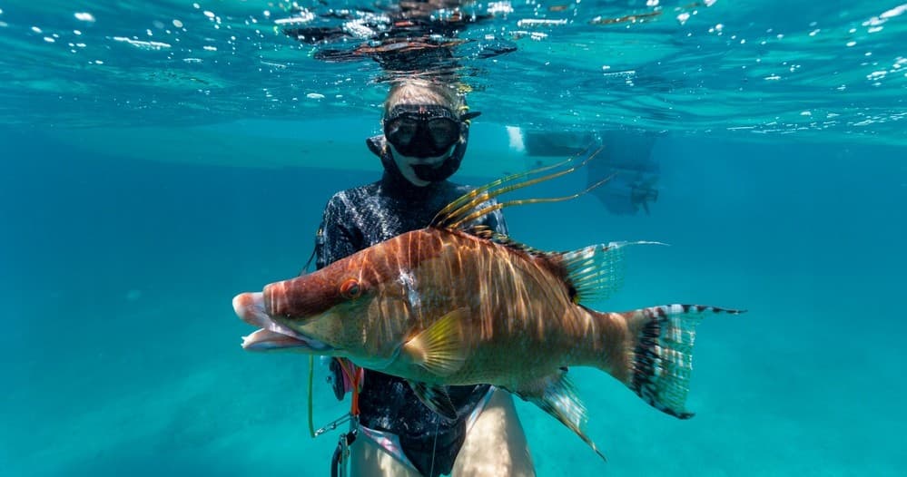 Spearfishing Charter