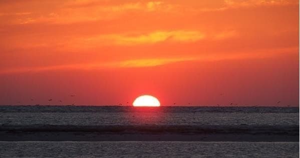Sunset Cruise-Dolphin Tour with Island Shelling