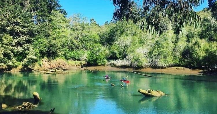 Noyo River Nature Tour