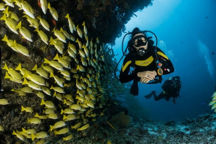 SSI Perfect Buoyancy