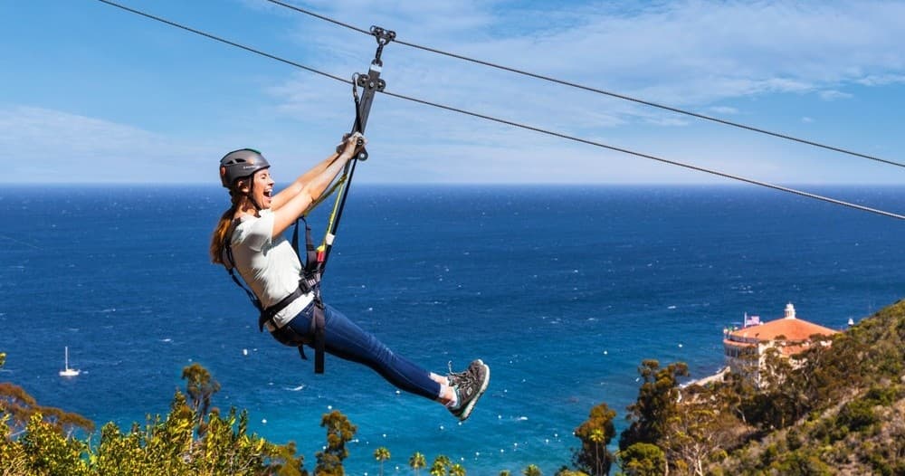 Zipline Video / Photos