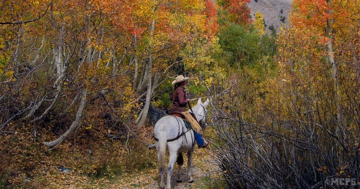 Horsetail Falls Ride