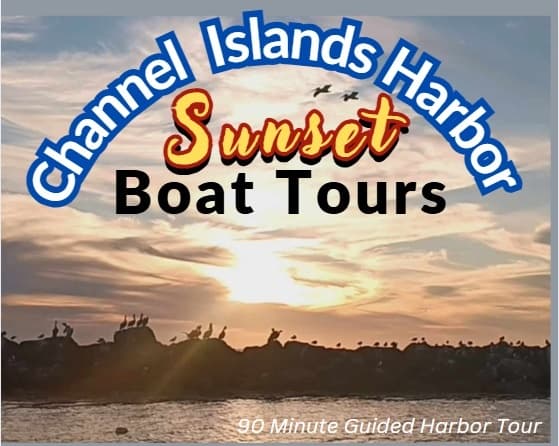 Sunset Tours