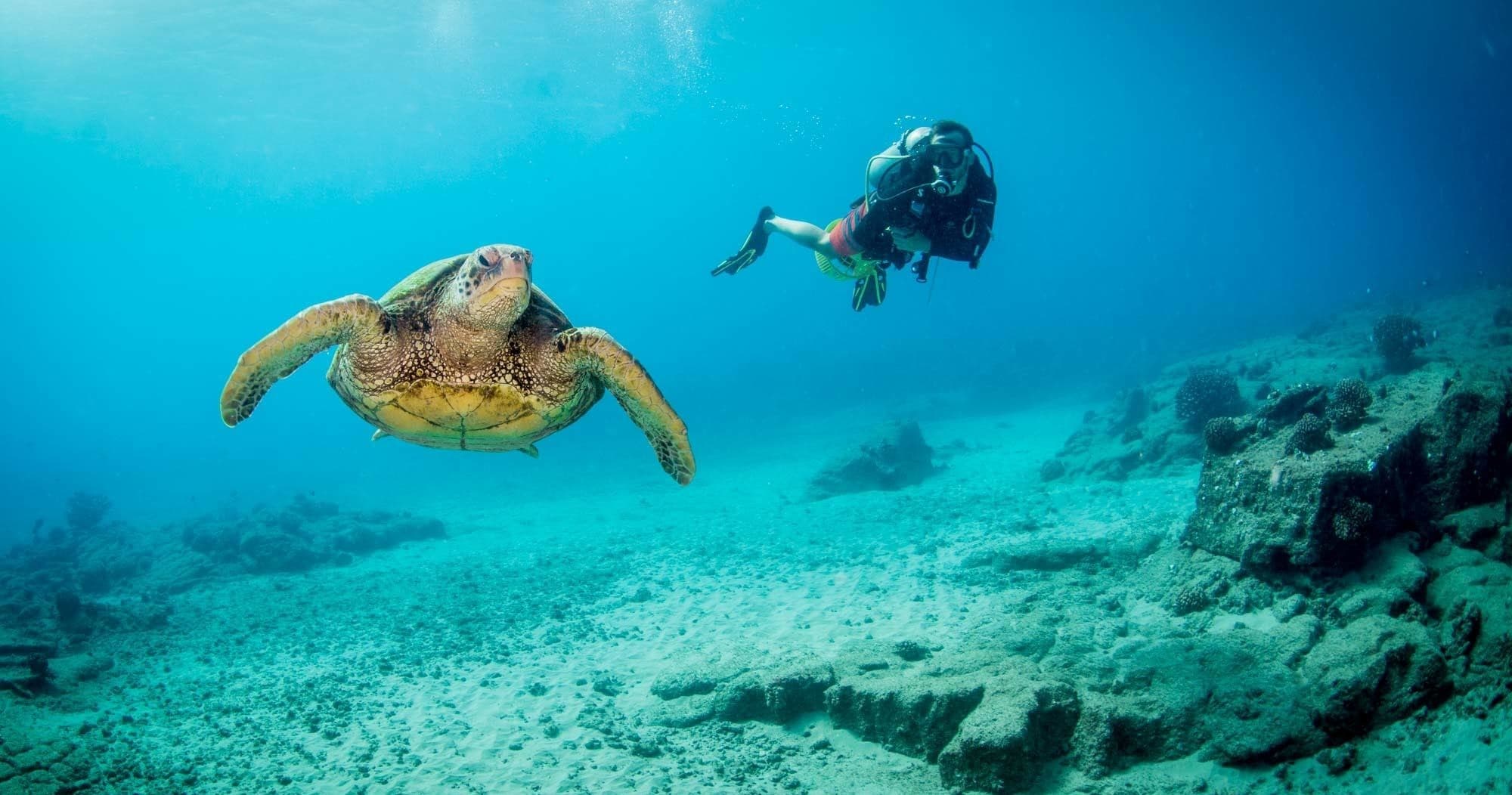 Kauai's Ultimate Shore Dive - SOUTH ISLAND
