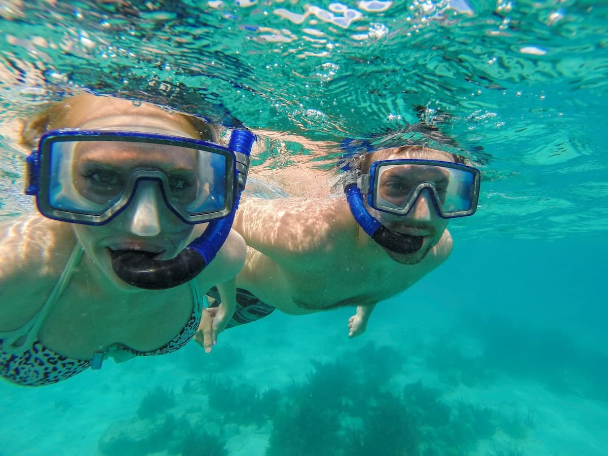Frenchman Afternoon Turtle Snorkel