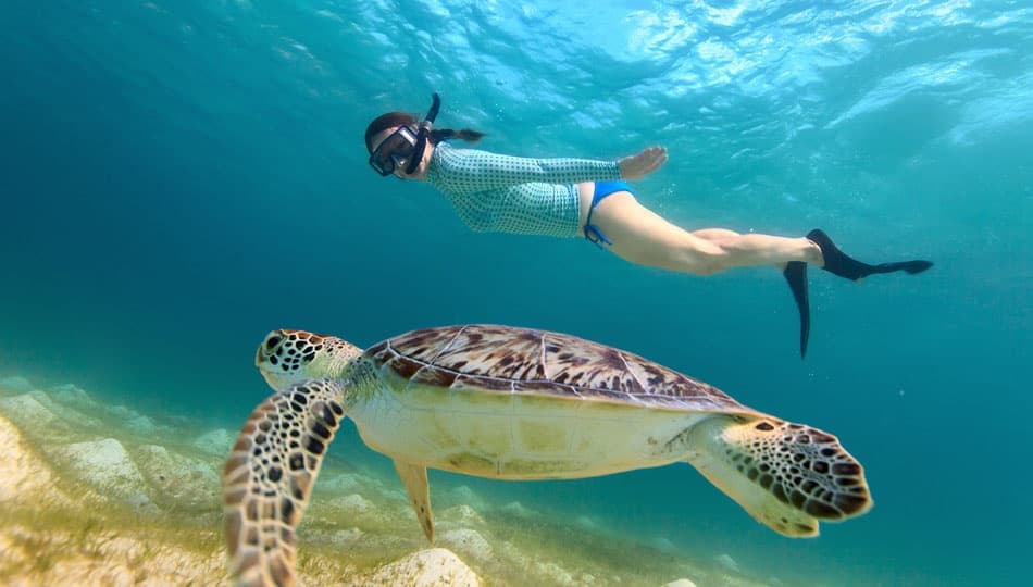 Buck Island Snorkel Sail