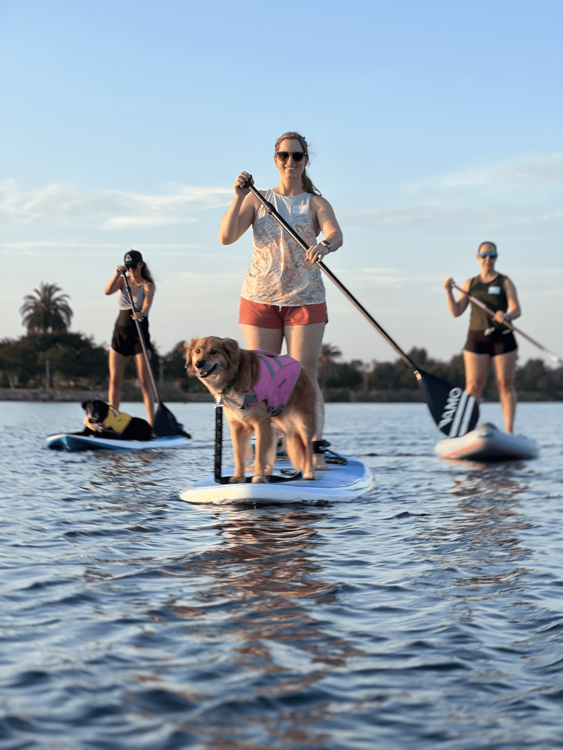 Private Paddle Board Lesson with your Pup(s)