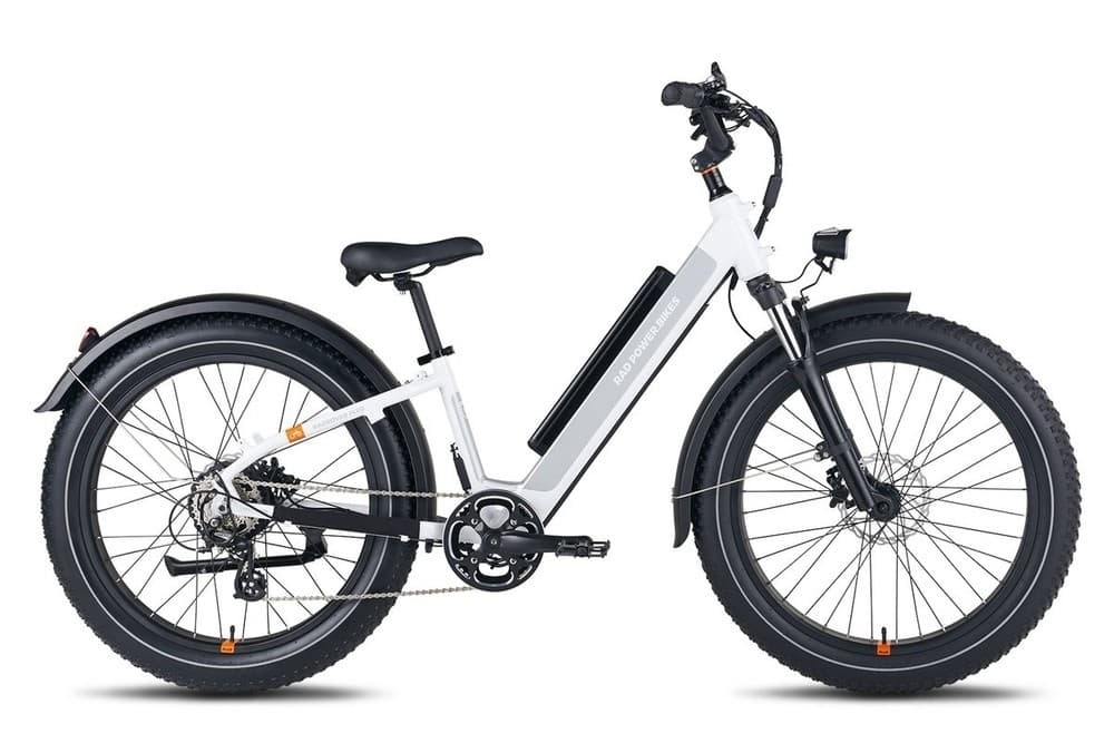Electric Bike Large