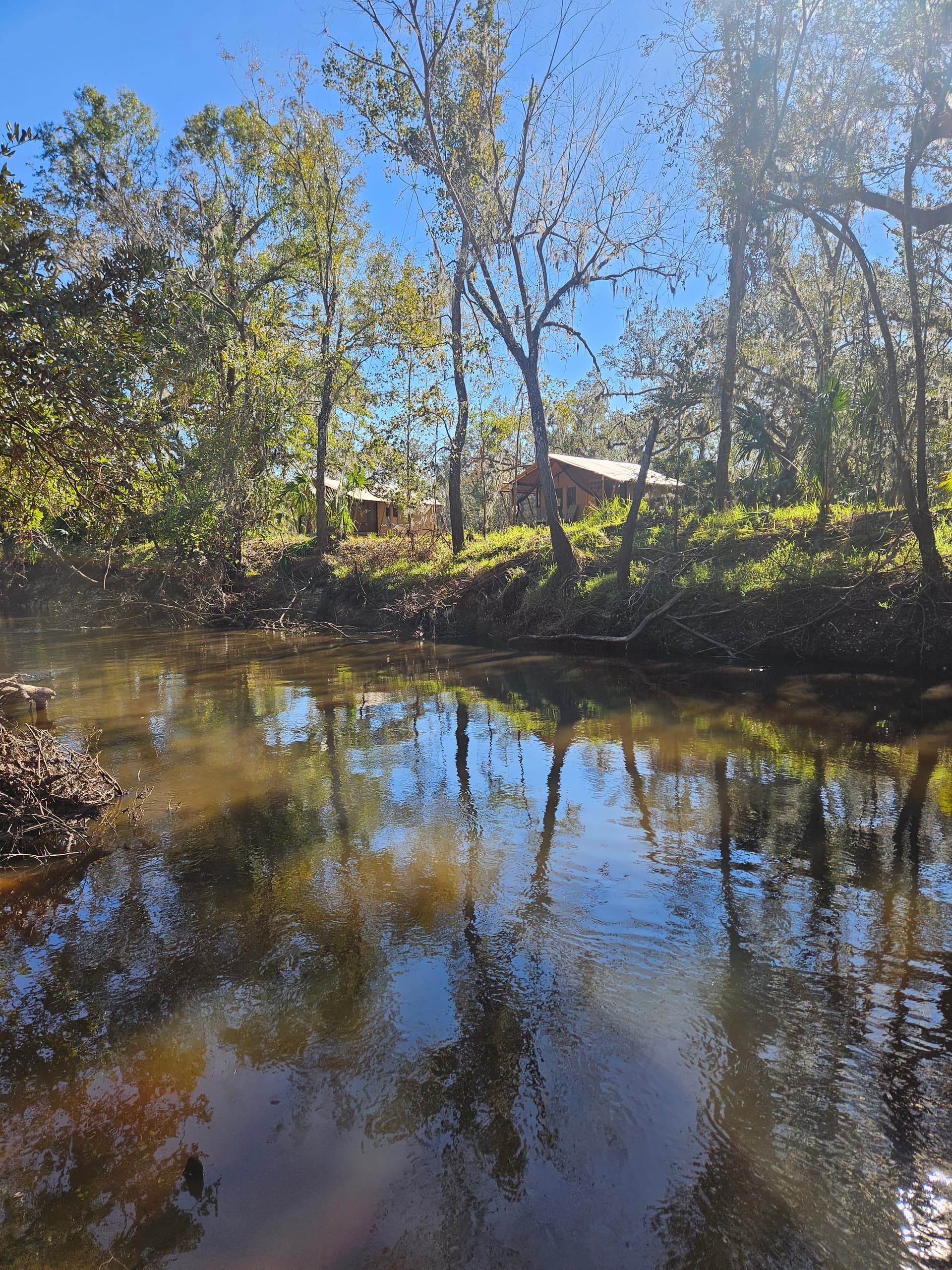 Peace River Oaks Walk-In Fossil Hunting Tours