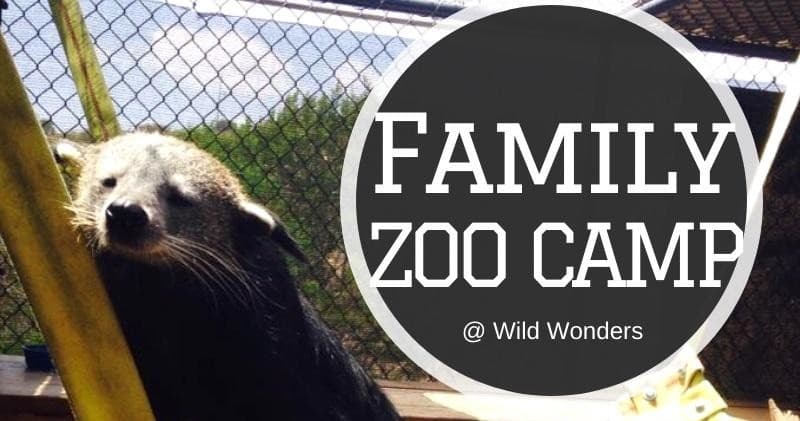 Family Zoo Camp