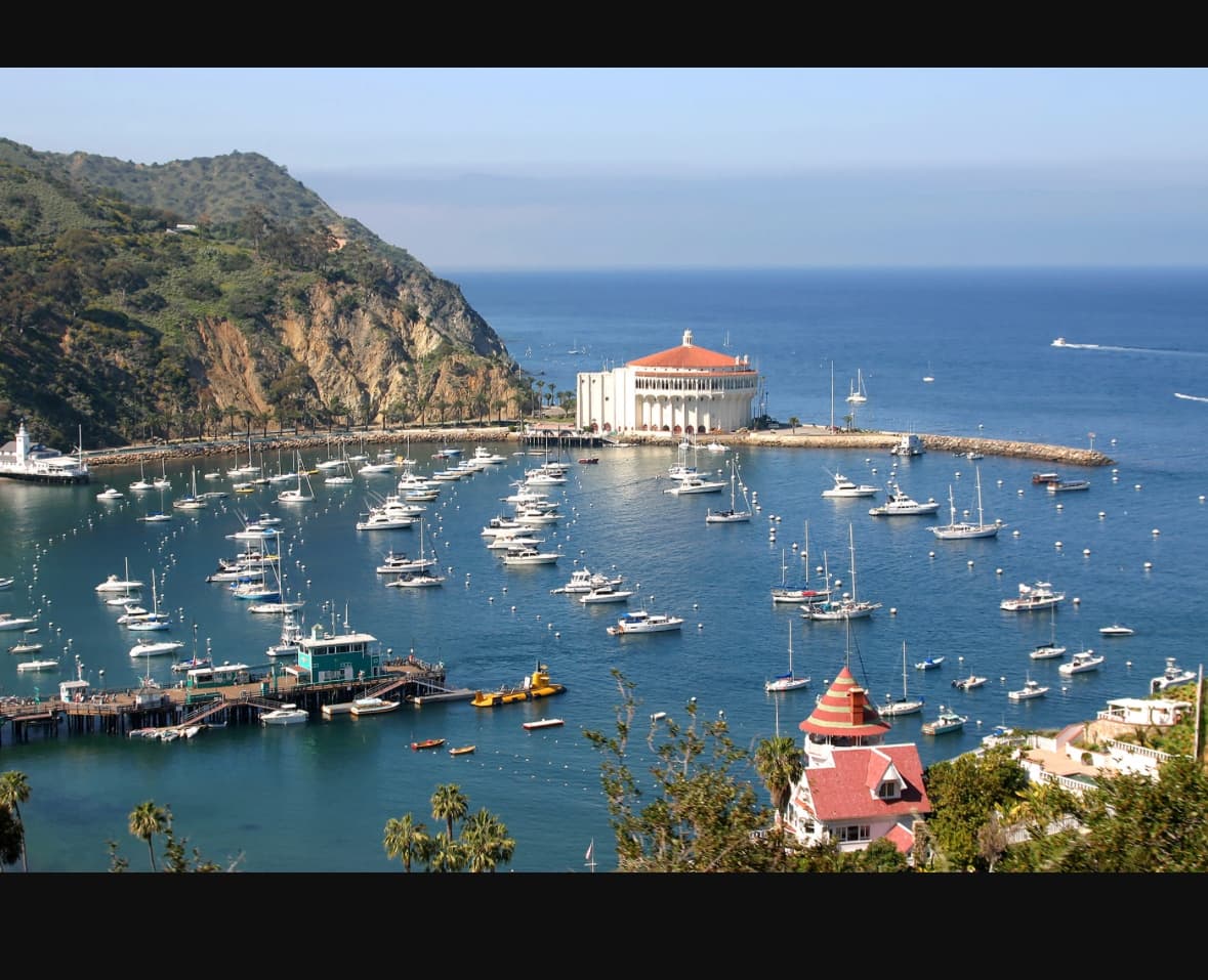 Catalina Island Exciting Private Day Charter