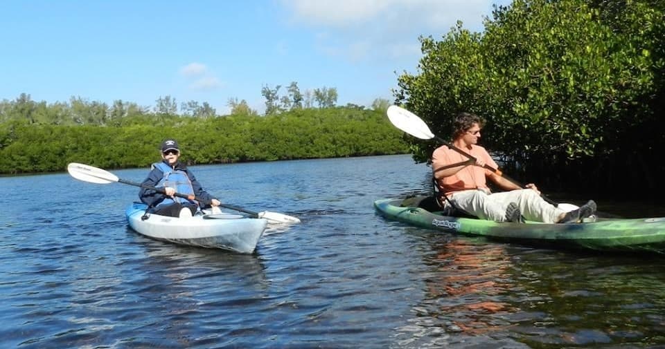 Morning Guided Mangrove Tunnel Tours