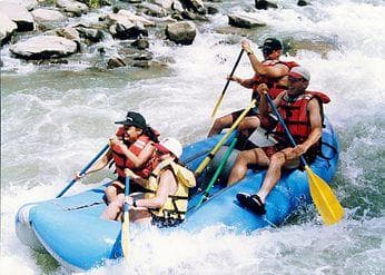 Large Group Reservations - 1-day Trip